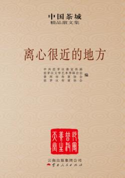 离心很近的地方 封面