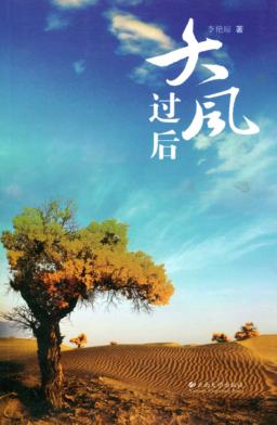 大风过后 封面