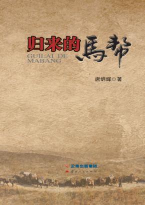 归来的马帮 封面