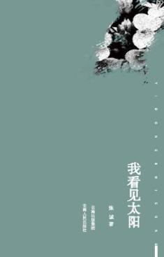 我看见太阳 封面