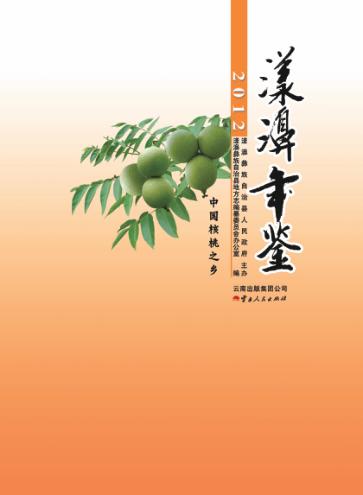 漾濞年鉴  2012 封面