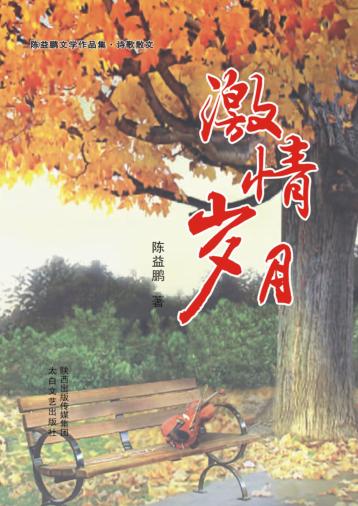 陈益鹏文学作品集  激情岁月 封面