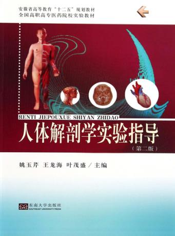人体解剖学实验指导 封面