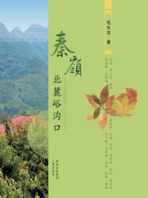 秦岭北麓峪沟口 封面