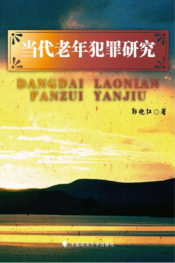 当代老年犯罪研究 封面