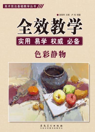 美术技法基础教学丛书  全效教学  色彩静物 封面