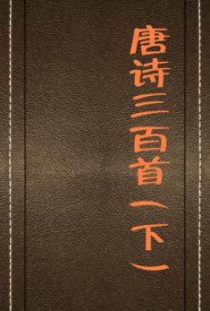 唐诗三百首  下 封面