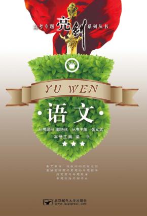 高考专题亮剑系列丛书  语文 封面