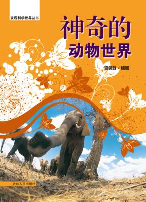 神奇的动物世界 封面