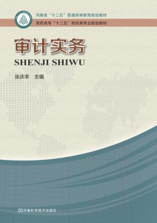 河南省“十二五”普通高等教育规划教材  审计实务 封面