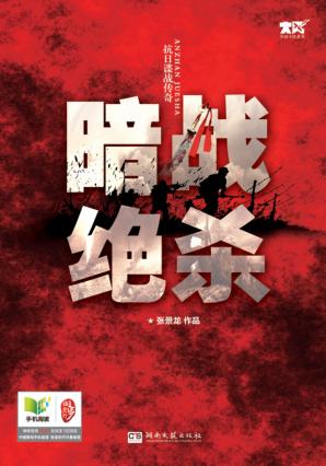 暗战绝杀 封面