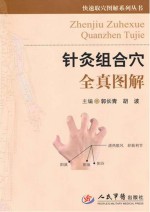针灸组合穴全真图解 封面