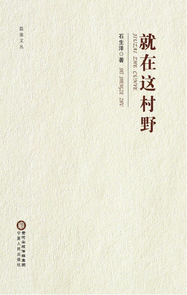 盐池文丛  就在这村野 封面