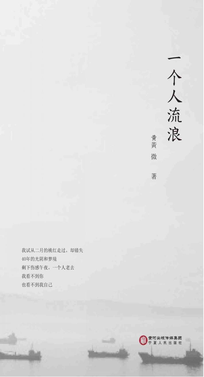 一个人流浪 封面