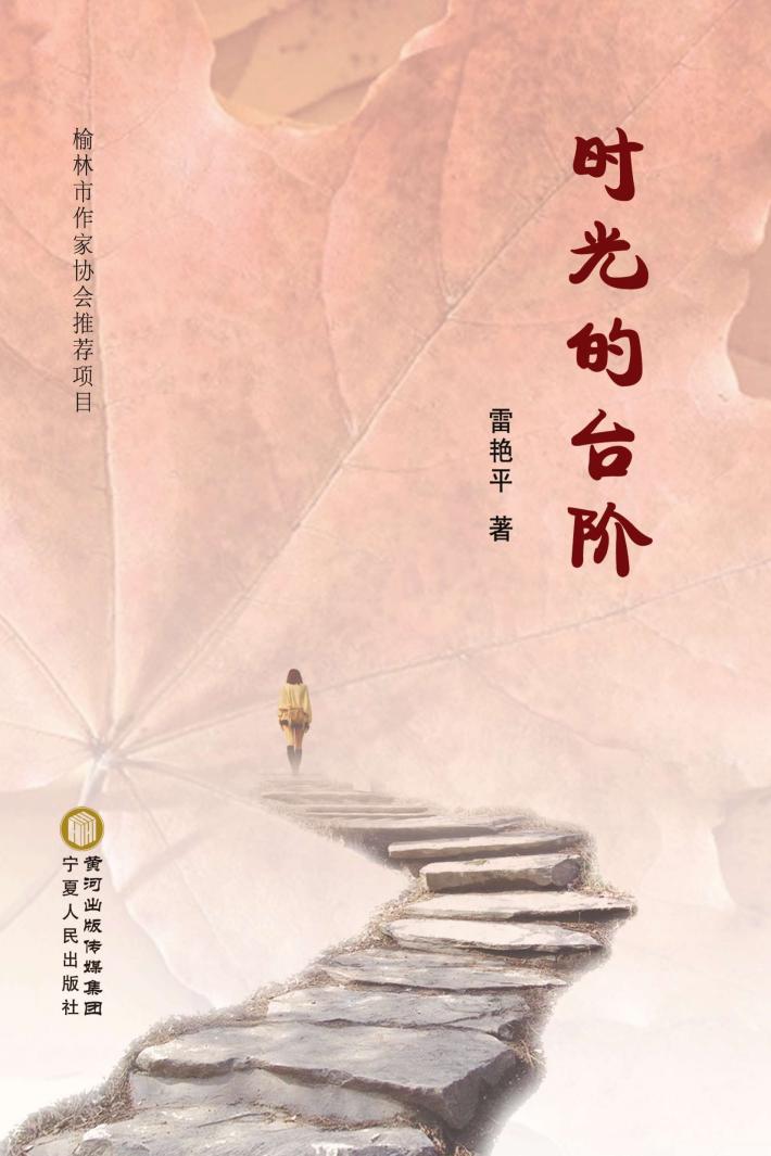 时光的台阶 封面