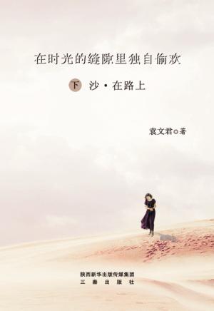 在时光的缝隙里独自偷欢  下 封面