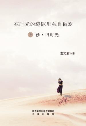 在时光的缝隙里独自偷欢  上 封面