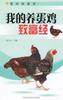 我的养蛋鸡致富经 封面