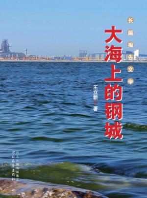 大海上的钢城 封面