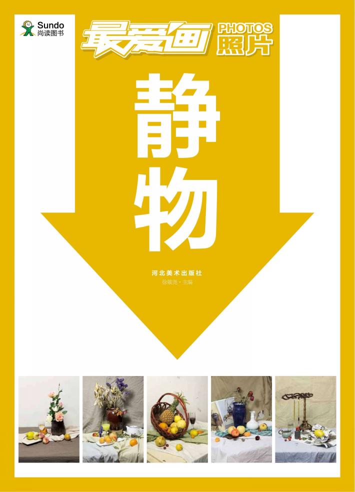 最爱画照片 静物 封面