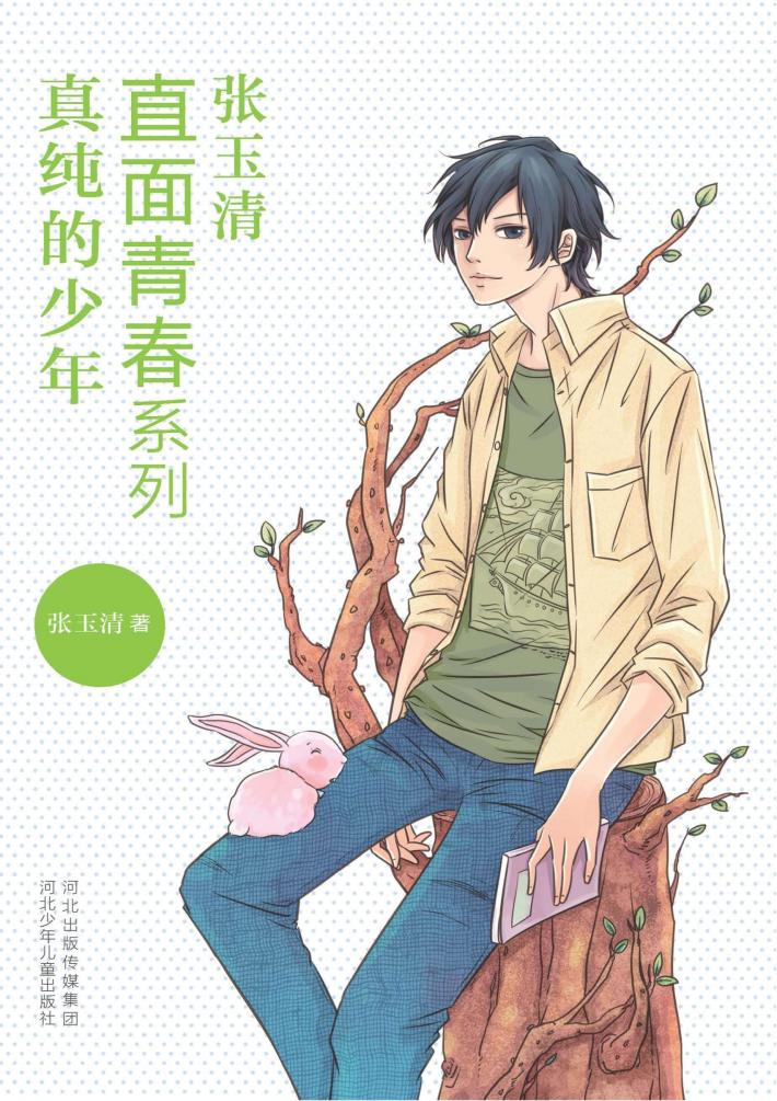 直面青春系列  真纯的少年 封面