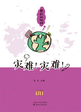 奇妙的地球  灾难！空难！ 封面