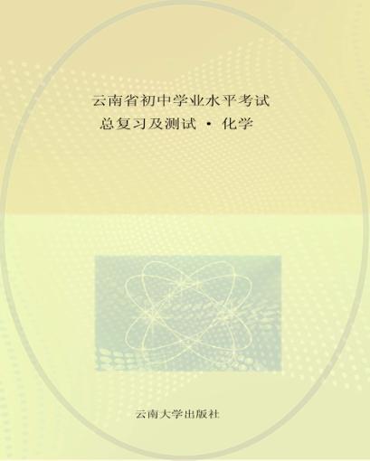 云南省初中学业水平考试总复习及测试  化学