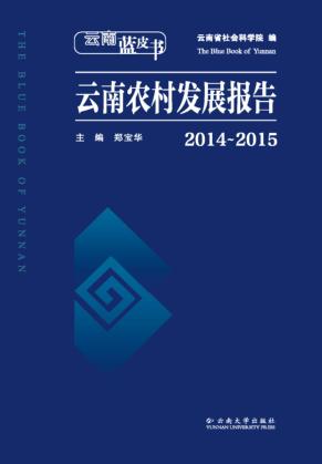 云南蓝皮书  云南农村发展报告  2014-2015 封面