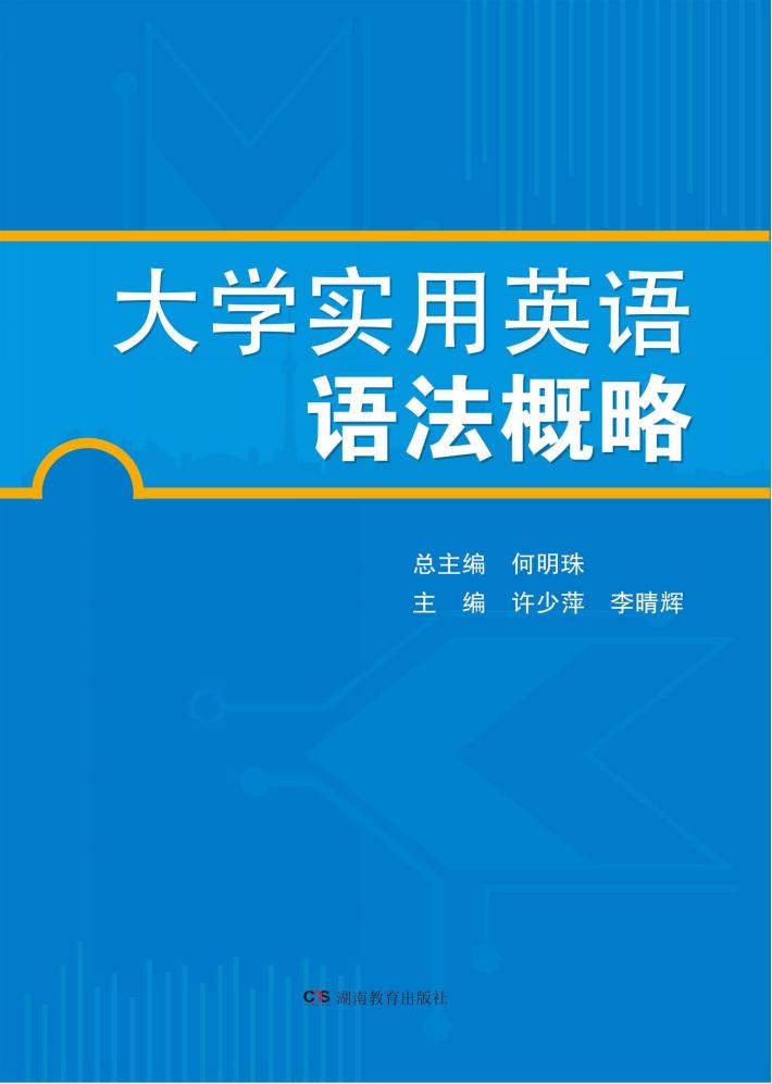 大学实用英语语法概略 封面