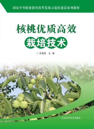 核桃优质高效栽培技术 封面