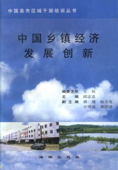 中国乡镇经济发展创新 封面