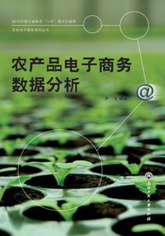农产品电子商务数据分析 封面