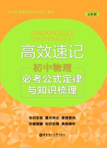 高效速记  必考公式定律与知识梳理  初中物理  幻彩版 封面