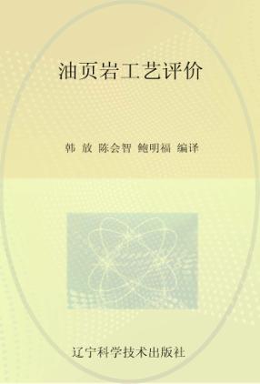 油页岩工艺评价 封面