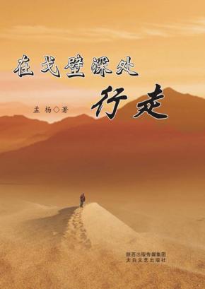 在戈壁深处行走 封面