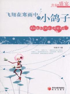 飞翔在寒雨中的小鸽子 封面