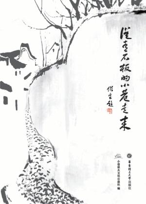 从青石板的小巷走来 封面