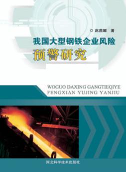 我国大型钢铁企业风险预警研究 封面