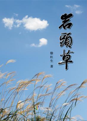 岩头草 封面