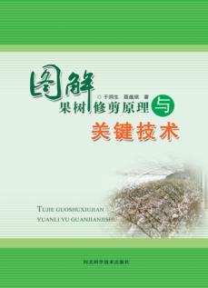 图解果树修剪原理与关键技术 封面