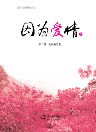 因为爱情  下 封面