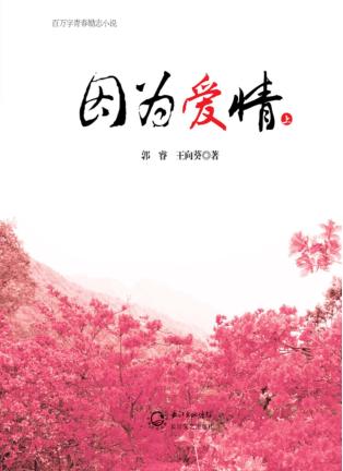 因为爱情  上 封面