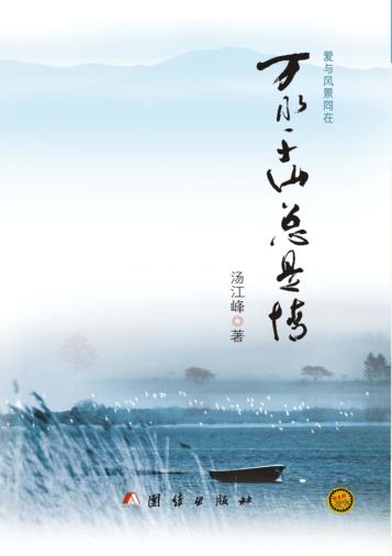 万水千山总是情 封面