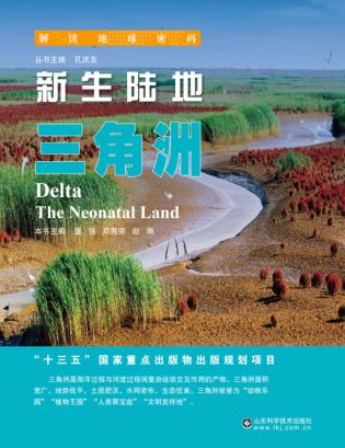 新生陆地 三角 封面