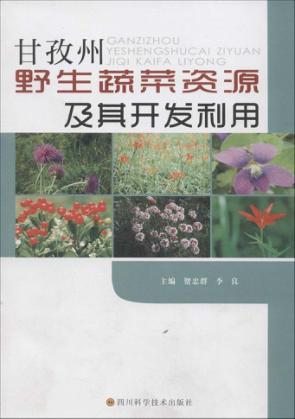 甘孜州野生蔬菜资源及其利用 封面