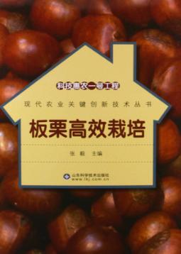 科技惠农一号工程 板栗高效栽培 封面