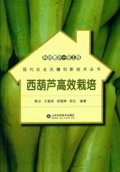 科技惠农一号工程  西葫芦高效栽培 封面