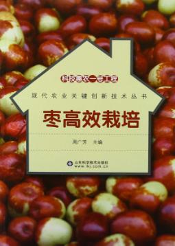 科技惠农一号工程 枣高效栽培 封面