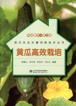 科技惠农一号工程  黄瓜高效栽培 封面