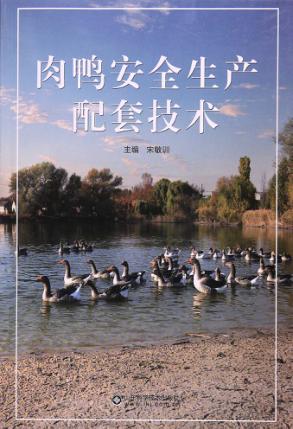 肉鸭安全生产配套技术 封面